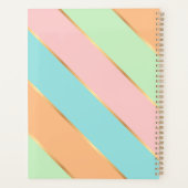 Persoonlijke groene turquoise blauwe roze streep planner (Achterkant)