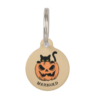 Persoonlijke Halloween Pompoen en Zwarte Kat Huisdierpenning