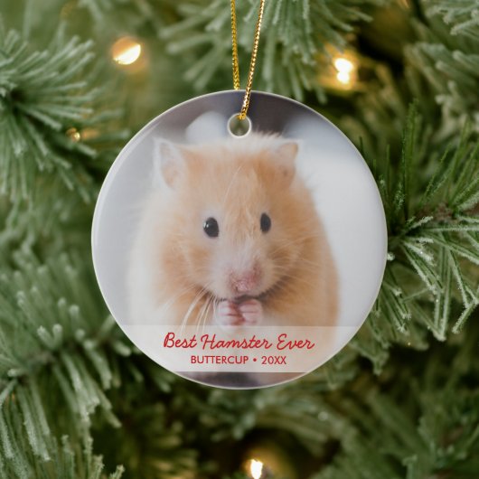 Persoonlijke Hamster Pet Foto & Name Kerstmis Keramisch Ornament (Boom)