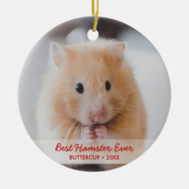 Persoonlijke Hamster Pet Foto & Name Kerstmis Keramisch Ornament