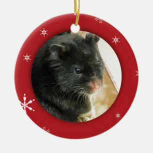 Persoonlijke Hamster/Pet Photo Holiday Keramisch Ornament
