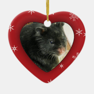 Persoonlijke Hamster Photo Holiday Ornament