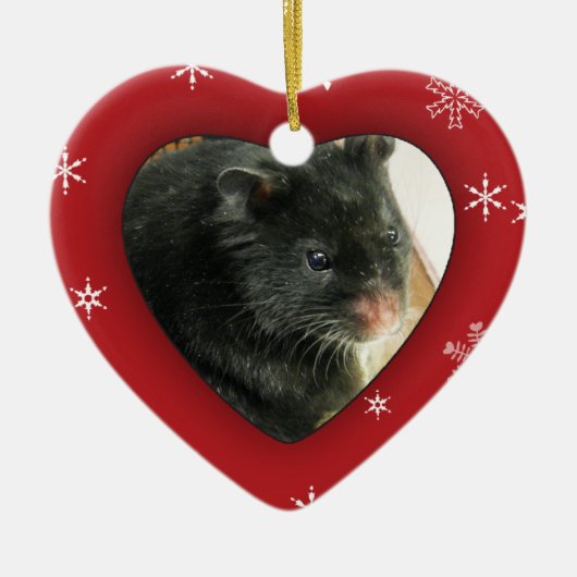 Persoonlijke Hamster Photo Holiday Ornament (Voorkant)