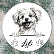 Persoonlijke handtekening van Pomapoo-hond
