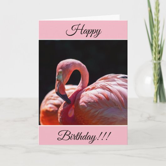 Persoonlijke Happy Birthday Flamingo Kaart (Voorkant)