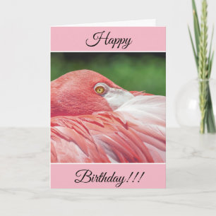 Persoonlijke Happy Birthday Flamingo Kaart