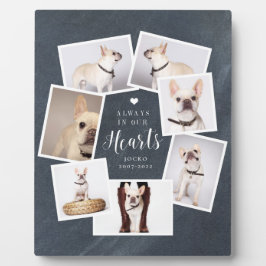 Persoonlijke herdenking huisdier met collage van m fotoplaat