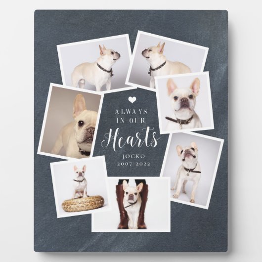 Persoonlijke herdenking huisdier met collage van m fotoplaat (Voorkant)
