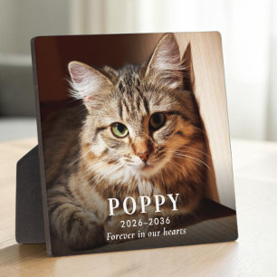Persoonlijke Herdenkingsfoto Kat Fotoplaat