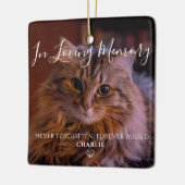Persoonlijke Herdenkingsherinnering Huisdier Kat F Keramisch Ornament (Links)