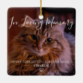 Persoonlijke Herdenkingsherinnering Huisdier Kat F Keramisch Ornament (Achterkant)