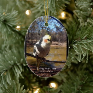 Persoonlijke herdenkingskerst van Cute Cockatiel Keramisch Ornament