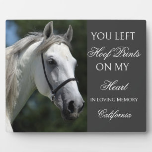 Persoonlijke herdenkingsplaquette voor paarden Aan Fotoplaat