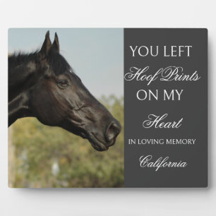 Persoonlijke herdenkingsplaquette voor paarden Aan Fotoplaat