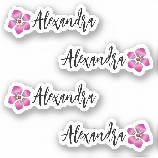 Persoonlijke hibiscusnaamlabelstickers (set van  sticker (Voorkant)