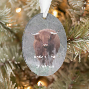 Persoonlijke Highland Koe Kerst Ornament
