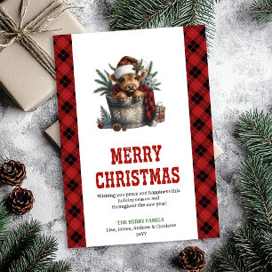 Persoonlijke Highland-koe kerstgroet Feestdagenkaart