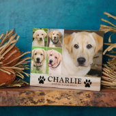 Persoonlijke Hond Dierbare Herinnering Foto Aanden Fotoplaat (Zijkant)