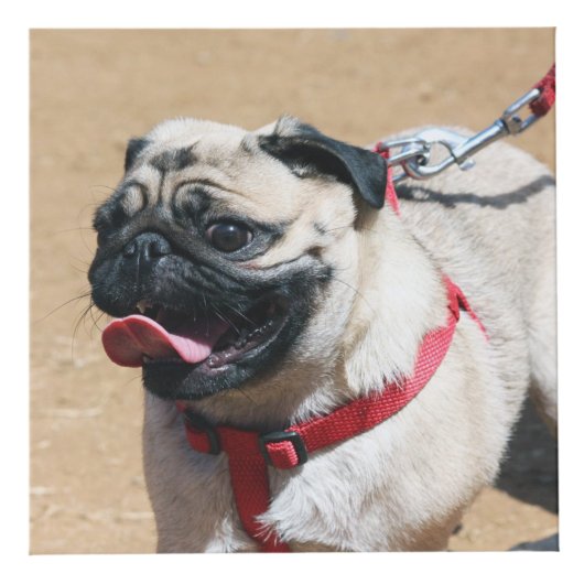 Persoonlijke hond Memorial Kubus (Rechts)