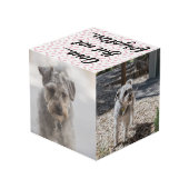 Persoonlijke hond Memorial Kubus (Achter hoekig)