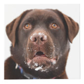 Persoonlijke hond Memorial Kubus (Rechts)