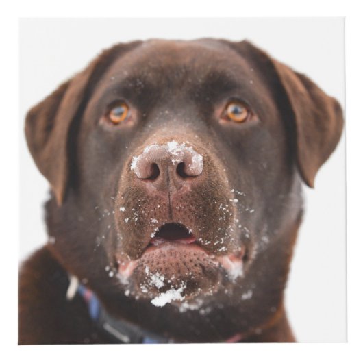 Persoonlijke hond Memorial Kubus (Rechts)