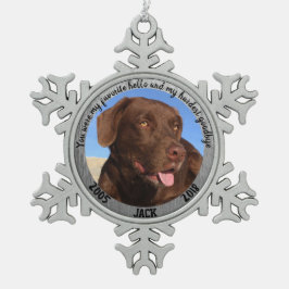 Persoonlijke hond Memorial Mijn favoriete Hallo Tin Sneeuwvlok Ornament