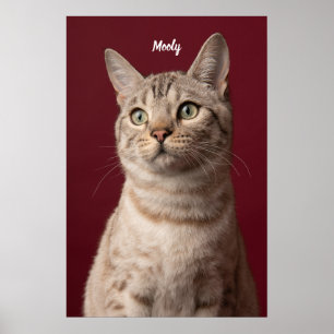 Persoonlijke honden- en kattennaam-fotoafdrukken,  poster