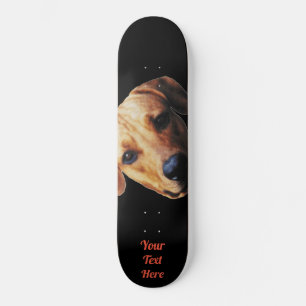 Persoonlijke Honden Gezicht Op Skateboard