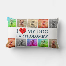 Persoonlijke Honden Pop Art Huisdier Liefhebber Ca Kussen