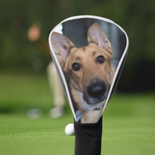 Persoonlijke hondenfoto golfheadcover
