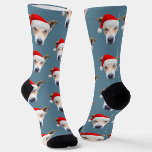 Persoonlijke hondenfoto Kerstmis Sokken