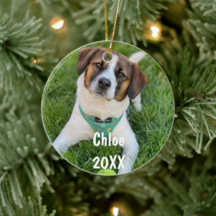 Persoonlijke huisdier foto Kerstboom ornament