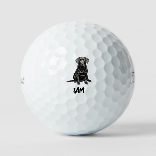 Persoonlijke huisdierafbeelding naam Titleist Pro Golfballen (Voorkant)