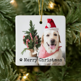 Persoonlijke huisdierfoto Kerstmis Keramisch Ornament