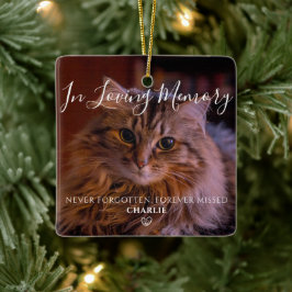 Persoonlijke huisdierherdenkingsherdenking Kat Fot Keramisch Ornament