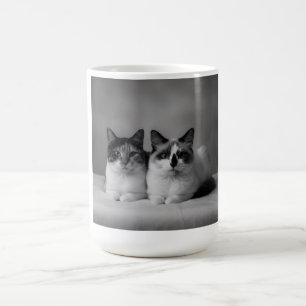 Persoonlijke huisdiermok – Hoge resolutie kattenfo Koffiemok