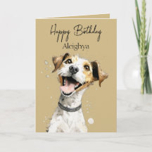 Persoonlijke Jack Russell