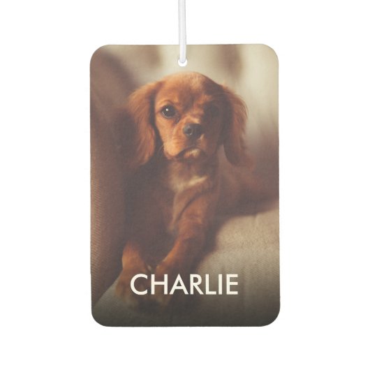 Persoonlijke kat Dog toont foto en naam Luchtverfrisser (Voorkant)