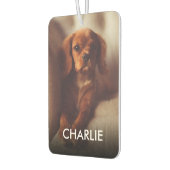 Persoonlijke kat Dog toont foto en naam Luchtverfrisser (Links)