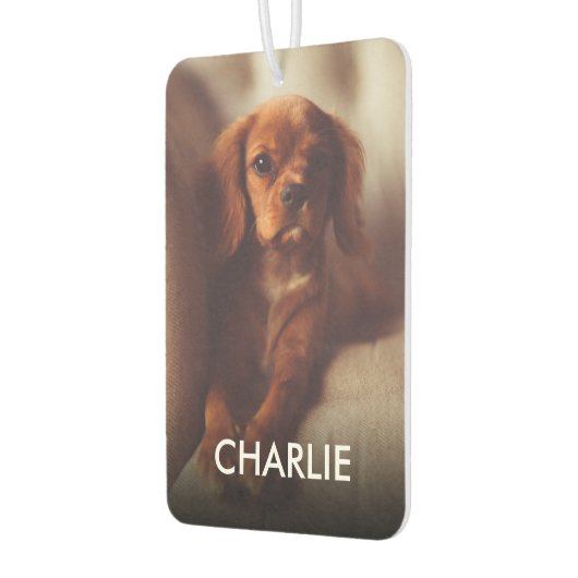 Persoonlijke kat Dog toont foto en naam Luchtverfrisser (Links)