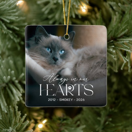 Persoonlijke kat-herdenkingsfoto Kerstboomornament Keramisch Ornament (Boom)