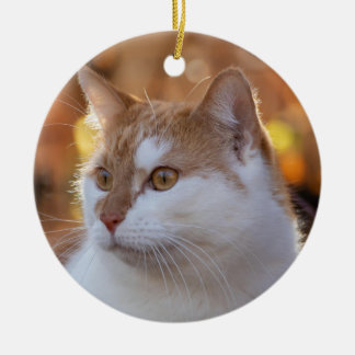 Persoonlijke kattenfoto keramisch ornament