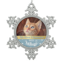 Persoonlijke kerstfoto van Kitten