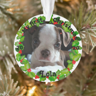 Persoonlijke kerstfoto van Puppy Ornament