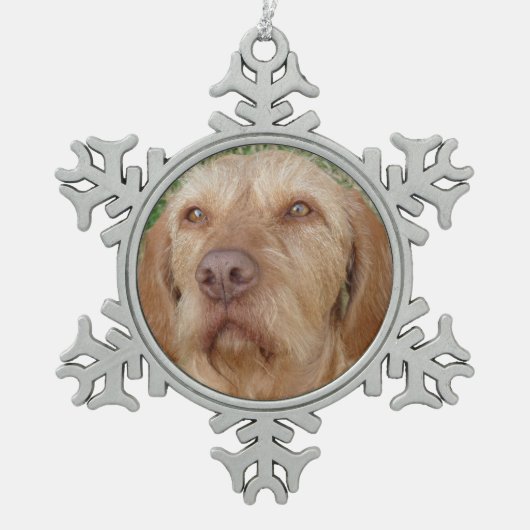 Persoonlijke kerstfoto van Vizsla Tin Sneeuwvlok Ornament (Voorkant)