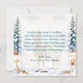 Persoonlijke Kerstkaart Shetlanders (Achterkant)