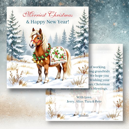 Persoonlijke Kerstkaart Shetlandpony