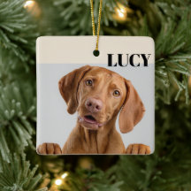 Persoonlijke Kerstmis Foto Ornament Hond & Naam