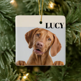 Persoonlijke Kerstmis Foto Ornament Hond & Naam